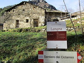 Cattedre della salute