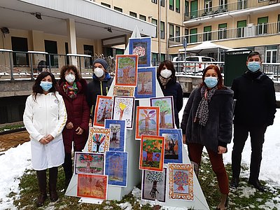 L’albero della resilienza al Santa Croce