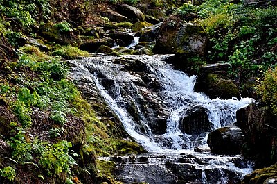Cattedre ambulanti della salute: sospesa la giornata di domenica 27 settembre