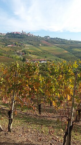 14 ottobre 2018 Appuntamento a Clavesana per le Cattedre Ambulanti della Salute