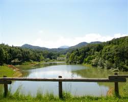 CATTEDRE AMBULANTI DELLA SALUTE