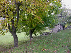 16 settembre 2018 Le Cattedre ambulanti della salute